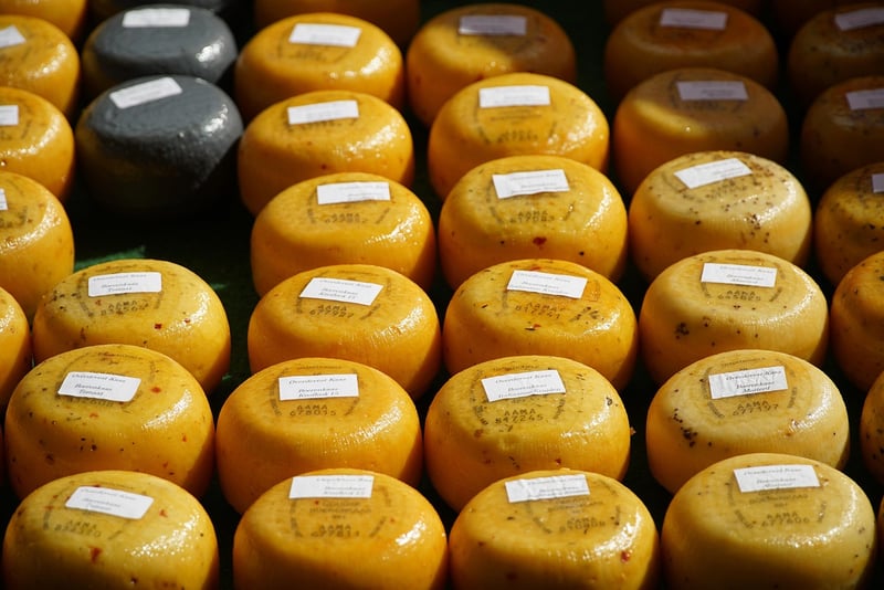Cheese Tasting Event