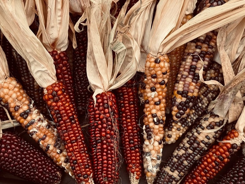 Organic Produce